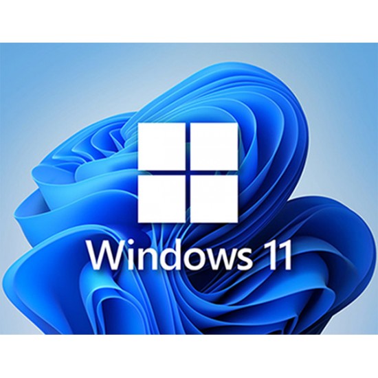 Windows 11 Pro Lisans Key